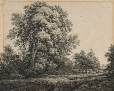 Waldlandschaft von Edward Lear